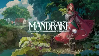 Mandrake