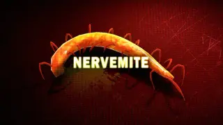Nervemite
