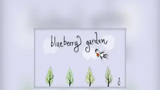 Blueberry Garden