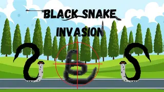 Black Snake Invasion