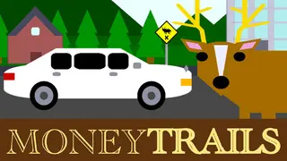 Money Trails