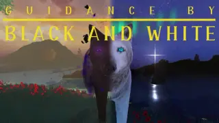 Guidance by Black and White