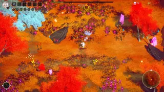 Beautiful Mystic Survivors