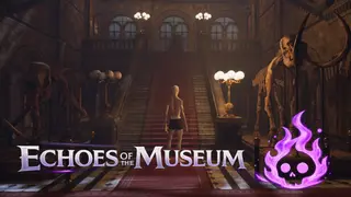 Echoes of the Museum