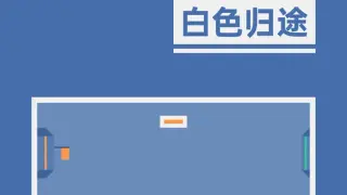 白色归途