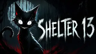 Shelter 13