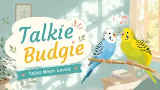 Talkie Budgie: Talks When Loved
