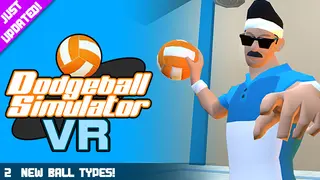Dodgeball Simulator VR