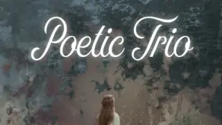 Poetic Trio - Switch