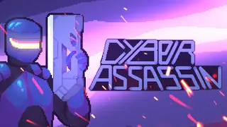 Cyber Assasin