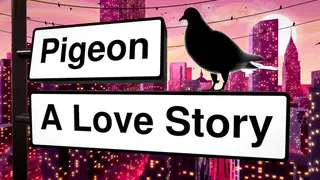 Pigeon: A Love Story