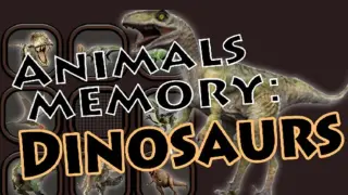Animals Memory