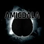 Amigdala