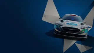 WRC 10 FIA World Rally Championship - PS4