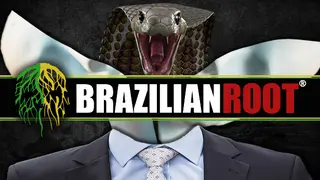 Brazilian Root