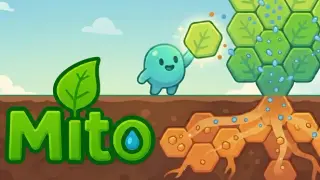 Mito