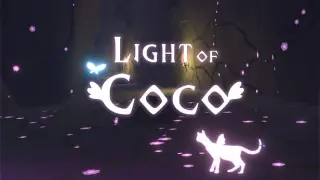 Light of Coco