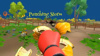 Punching Storm