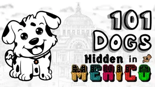 101 Dogs Hidden in Mexico