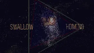 ζ
ηε½θͺ Swallow Homing