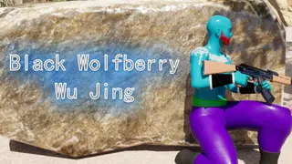 Black Wolfberry:WuJing