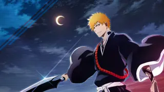 Bleach: Brave Souls Anime Game (PS4)
