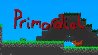 Primordial