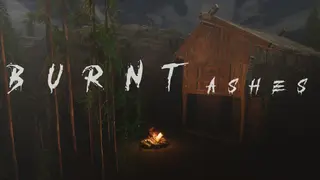 BURNT ASHES