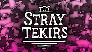 Stray Tekirs