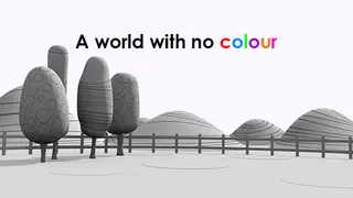 A World With No Colour