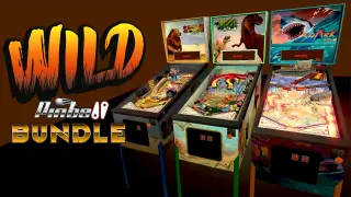 Wild Pinball Bundle - Switch
