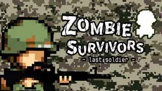 Zombie Survivors - last soldier