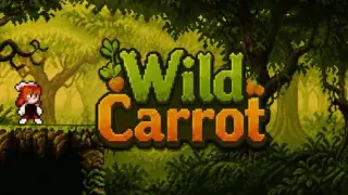 Wild Carrot