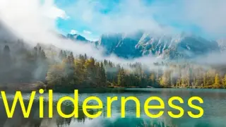 Wilderness