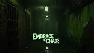 Embrace the Chaos