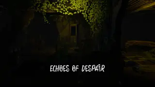 Echoes Of Despair
