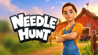 Needle Hunt