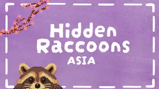 Hidden Raccoons in Asia