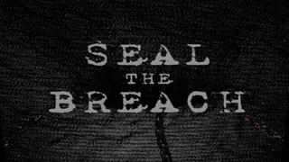 Seal The Breach