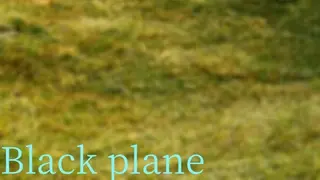 Black plane