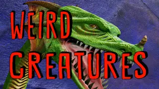 Weird creatures
