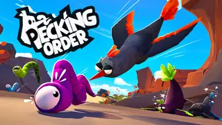 Pecking Order