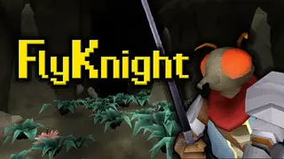 FlyKnight