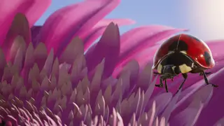 Insects: An Xbox One X Enhanced Experience - Xbox One