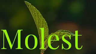 Molest