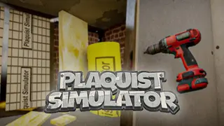 Plaquist Simulator