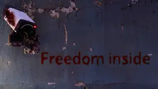 Freedom Inside