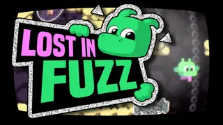 Lost in Fuzz