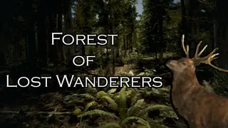 Forest of Lost Wanderers