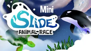 Mini Slide - Animal Race